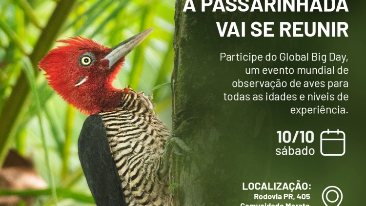 Imagem de vitrine